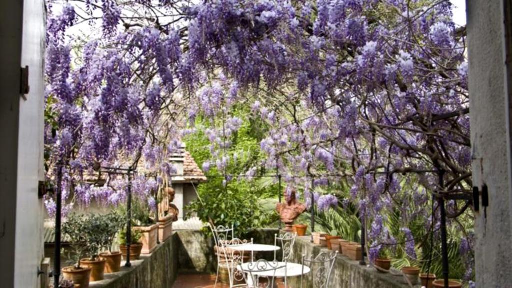 Locanda Sant' Agostino ルッカ エクステリア 写真